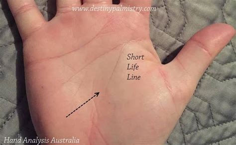 Life line timeline guide in palmistry – Artofit