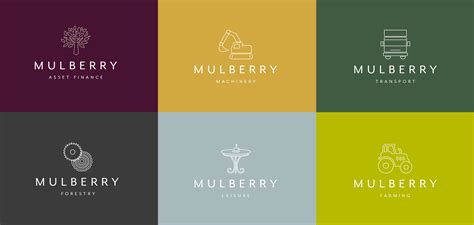 mulberry asset finance specialist web design  brand agency