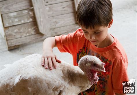 Why Go Vegan? — Vegan Future Now