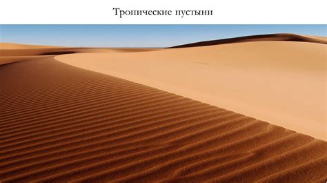 Тропические пустыни - фото и картинки: 67 штук
