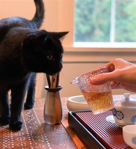 What Does “Steep the Tea” Mean? Unlocking the Secret of Perfect Brewing - Hunter Games Magazine