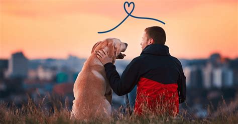 how to calm a nervous dog