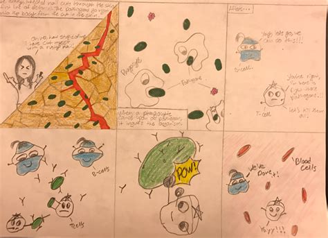 Immune system comic strIp - Himika's Blog