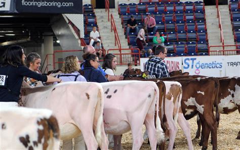 applications     dairy investment grants opens dairy