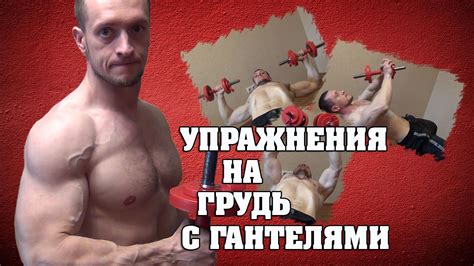 Упражнения для груди с гантелями - YouTube