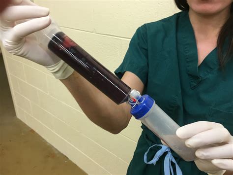 Growing evidence for regenerative medicine - Veterinary Practice