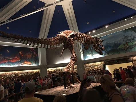 dinosaur ride in animal kingdom 11