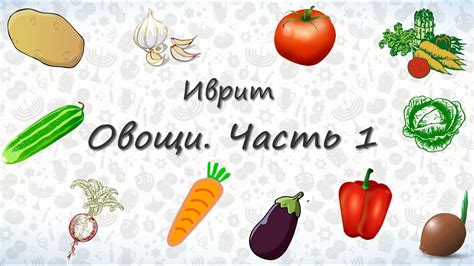 Овощи на иврите. Часть 1. - YouTube