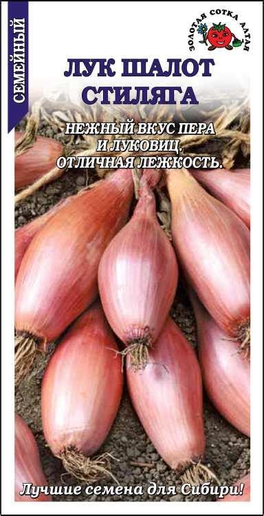 Золотая сотка алтая