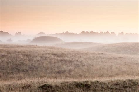 releasing  story  sutton hoo medieval histories