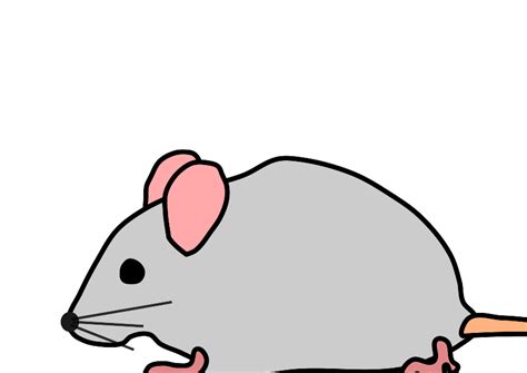 gray mouse clip art  clkercom vector clip art  royalty