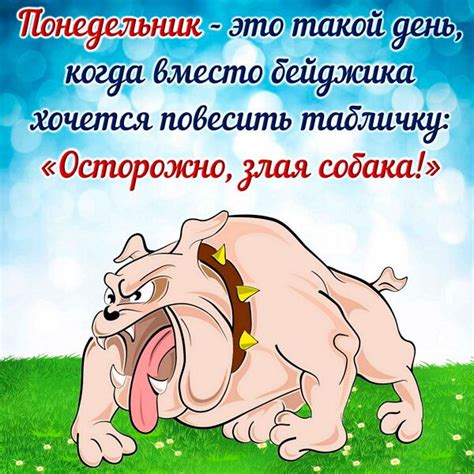Доброе утро понедельника картинки и пожелания - Megapozitiv.com