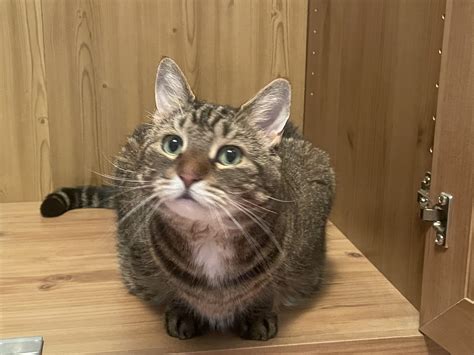 Boom! : r/WhiskerFireworks
