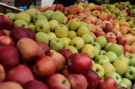 🍎 Свежие яблоки и овощи для борща — на ярмарках | Город Краснодар