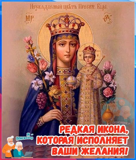 Ольга Захарова-Спиридонова | ВКонтакте