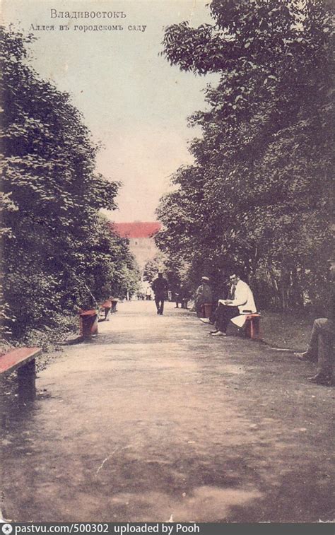 Аллея в городском саду