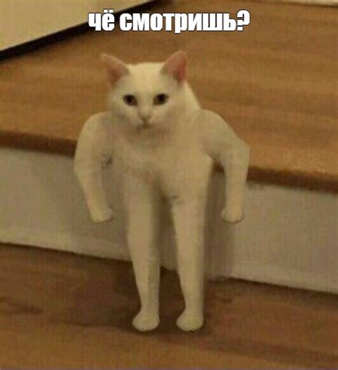 Meme: "чё смотришь?" - All Templates - Meme-arsenal.com