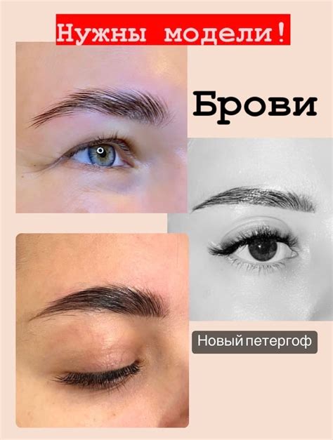 Нужны модели на брови! Ты хочешь красивые брови, но всё время ...