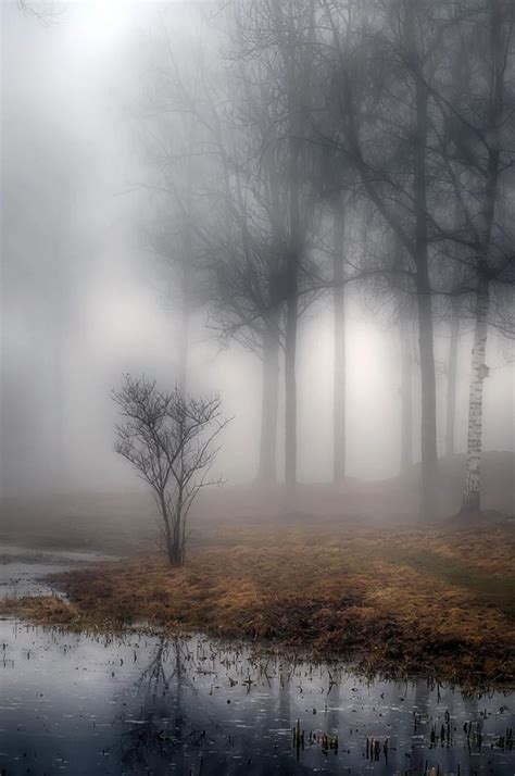 48 best Eerie landscapes/scenes images on Pinterest | Abandoned places ...