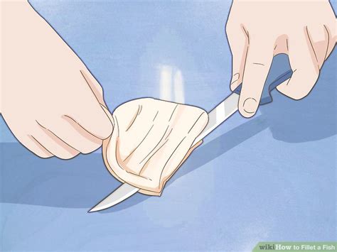 How to Fillet a Fish: 13 Steps (with Pictures) - wikiHow