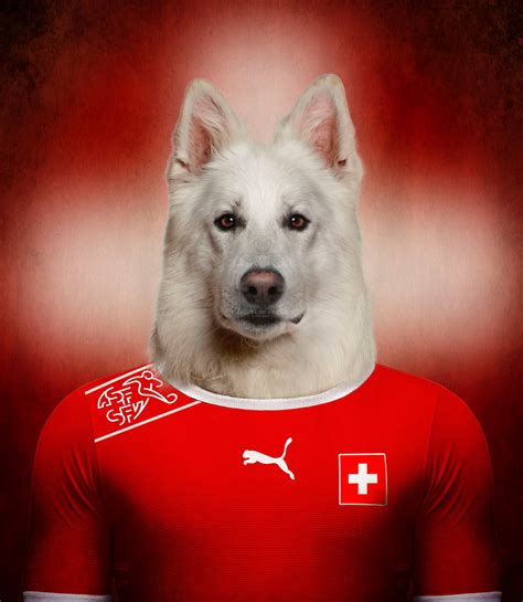 Форма dogs