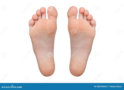 Feet Isolated on White Background Stock Photo - Image of bottom, skin ...