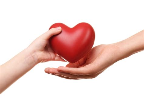 Premium Photo | Heart in child and mother hands isolated on white