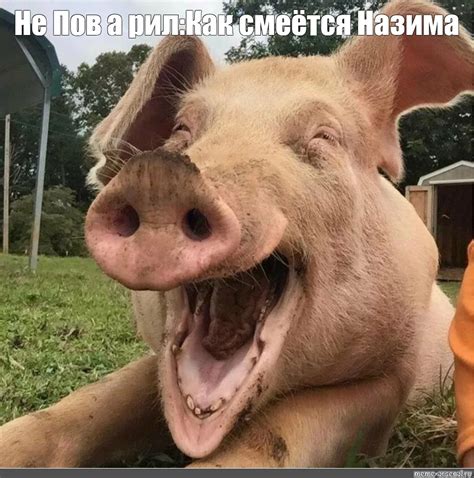 Создать мем "радостная свинья, свинья смеется, улыбка свиньи ...
