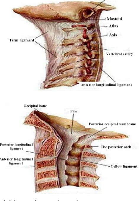 figure    reliability  mri diagnosis  anterior