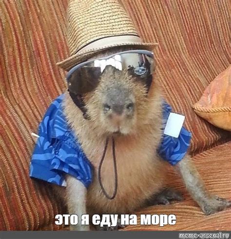 Создать мем "capybara, капибары, промоутер" - Картинки - Meme-arsenal.com
