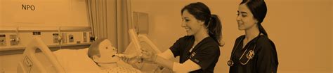nursing program school  health sciences