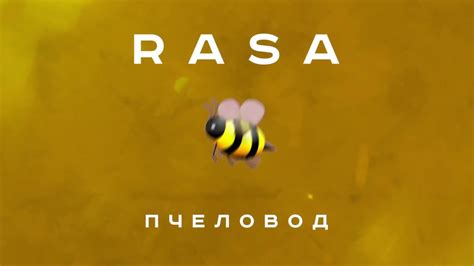 RASA - Пчеловод | Текст Песни | song-lyric.ru