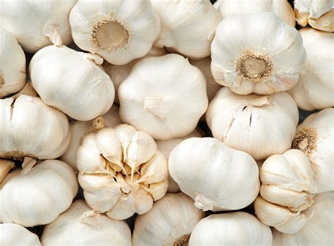 How to harness the healing power of garlic: It’s good for blood ...