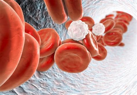 Sva lica anemije: simptomi, vrste i uzroci