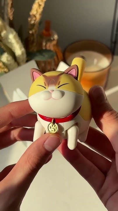 Сюрприз з Аврори 🐈 Хто вже бачив? #розвиток_інфлюєнсерів #аврора # ...