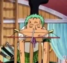 23 Goofy zoro ideas in 2024 | zoro, one piece funny, one piece meme