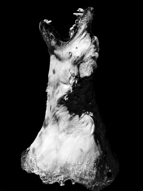 Gia Hunter Leigh (@giahunterleigh) • Instagram photos and videos