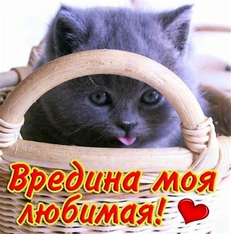 Открытка Вредина моя любимая