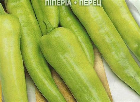 ITALIAN PEPPER HOT – FRIARIELLO PICTORIAL PACKET