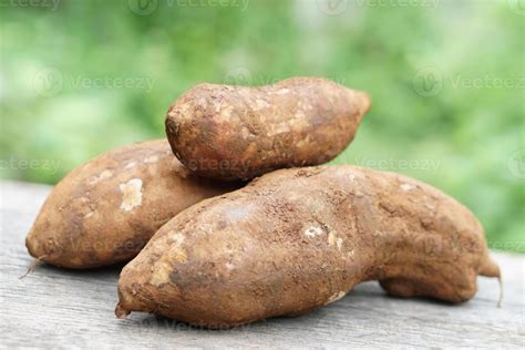 Yacon Stock Photos, Images and Backgrounds for Free Download