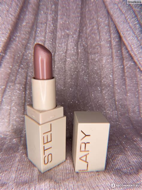 Помада для губ STELLARY устойчивая Long Lasting Lipstick - «Матовая ...