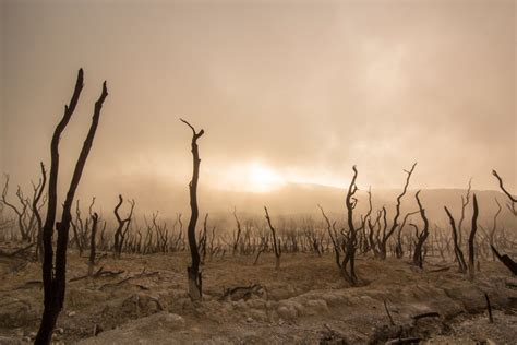 Barren Landscape Pictures | Download Free Images on Unsplash