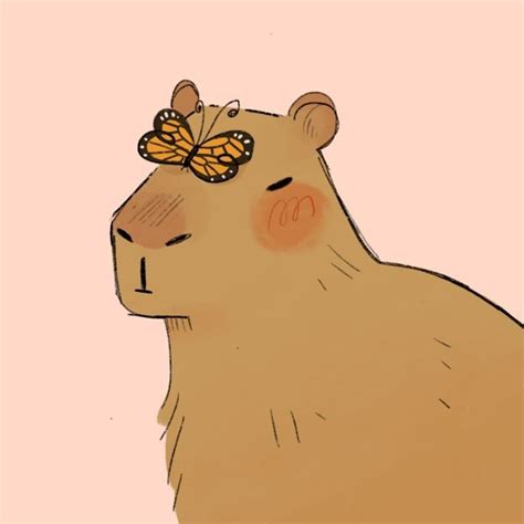 Cute Capybara Doodles