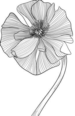 Flower Line Drawing PNGs for Free Download