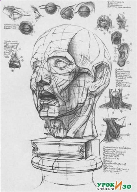 Рисунок головы человека Drawing Heads, Face Drawing, Painting & Drawing ...