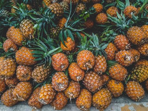 Starting ideas to maximize pineapple agribusiness opportunities
