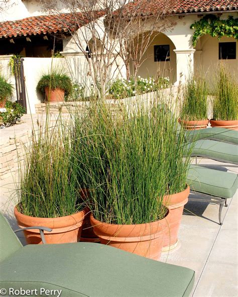 Basket rush - Waterwise Garden Planner