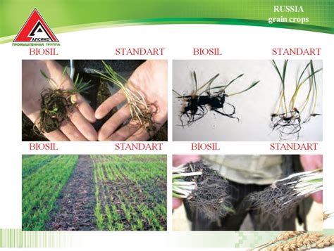 Samson Agro : БИОСИЛ