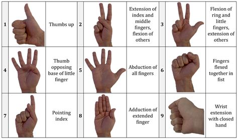 A Systematic Study on Electromyography-Based Hand Gesture Recognition