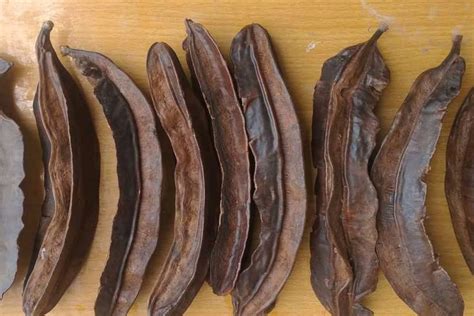 Uyayak Spice: Adding African Aroma to Your Cooking Experience - African ...